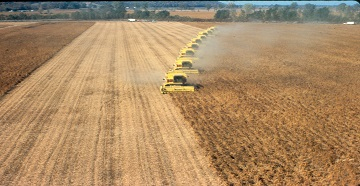 Soybean Harvest