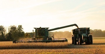 Soybean Harvest