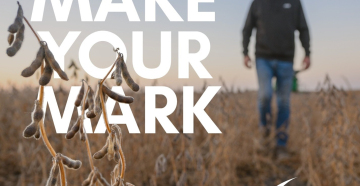 The Mississippi Soybean Promotion Board (MSPB) is now soliciting interest from qualified soybean producers to represent Mississippi as a Director on the United Soybean Board (USB).